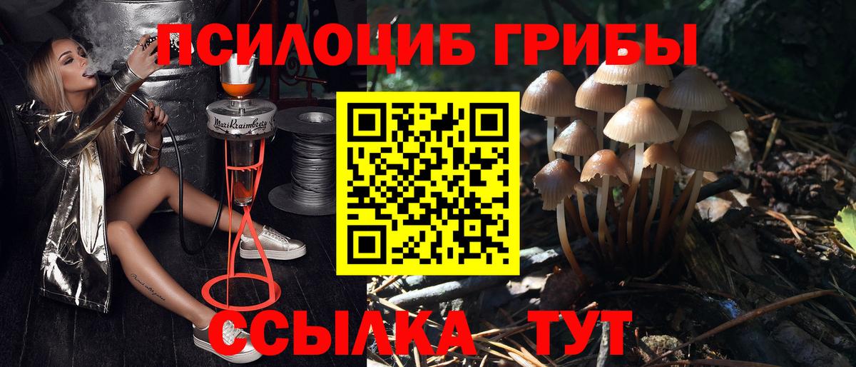 Галлюциногенные грибы мицелий Нальчик