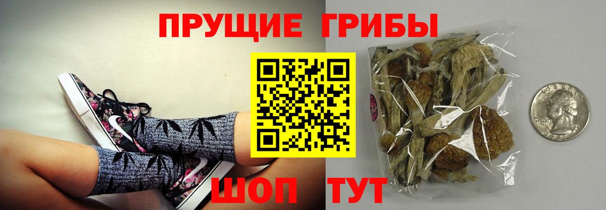 Галлюциногенные грибы мухоморы  Вход с VPN  где купить наркотик  Нальчик 